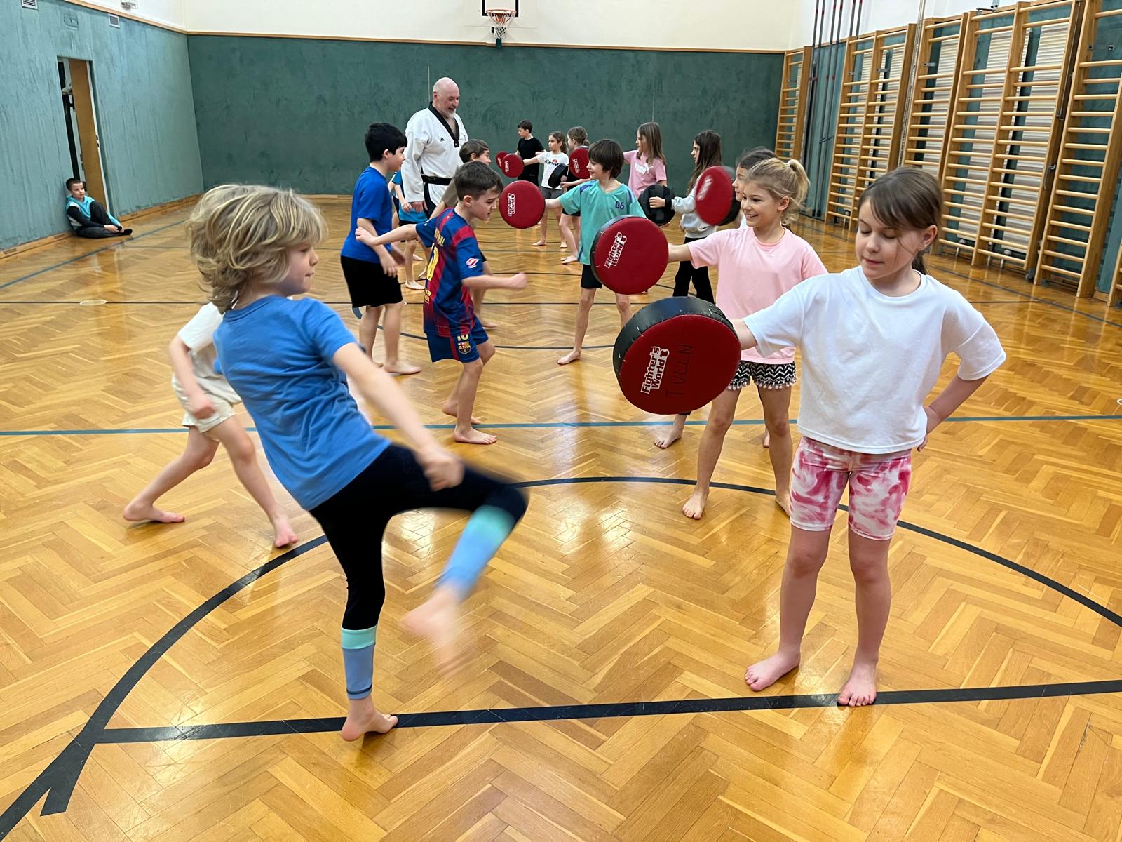 3a: Taekwondo-Training