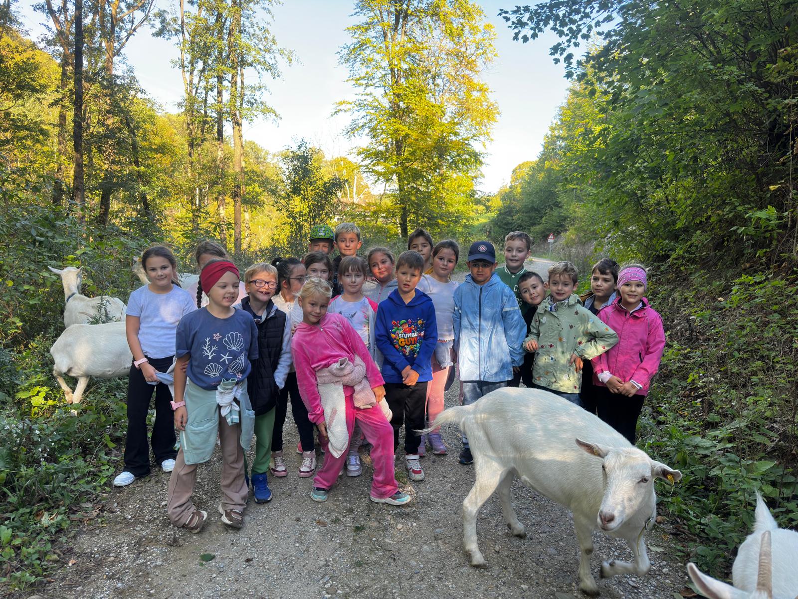2a: Die Monster auf Ziegenwanderung